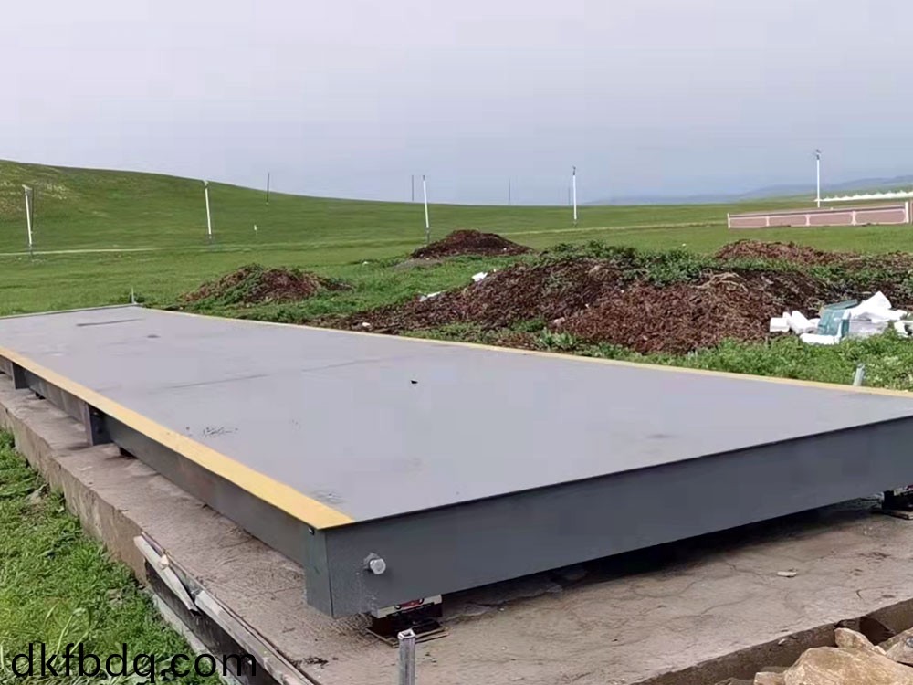 定(ding)製(zhi)汽車(che)衡(heng)