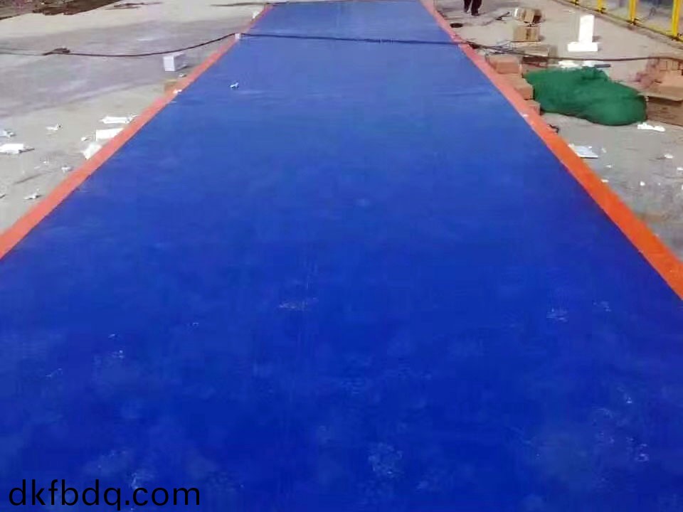 定(ding)製汽車(che)衡(heng)